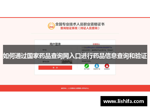 如何通过国家药品查询网入口进行药品信息查询和验证