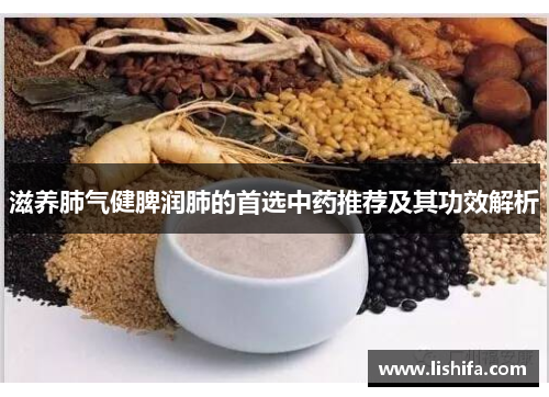 滋养肺气健脾润肺的首选中药推荐及其功效解析